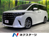 両側電動スライド 純正14型ナビ 13型フリップダウン 全周囲カメラ