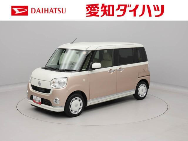 ムーヴキャンバス G メイクアップ SAII 