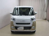 ムーヴキャンバス  ストライプス G