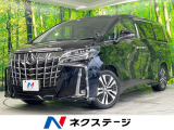 両側電動ドア 後席モニター バックカメラ 100V電源 衝突被害軽減シス