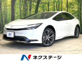 AC100V パワーバックドア ステアリングヒーター 駐車支援装置