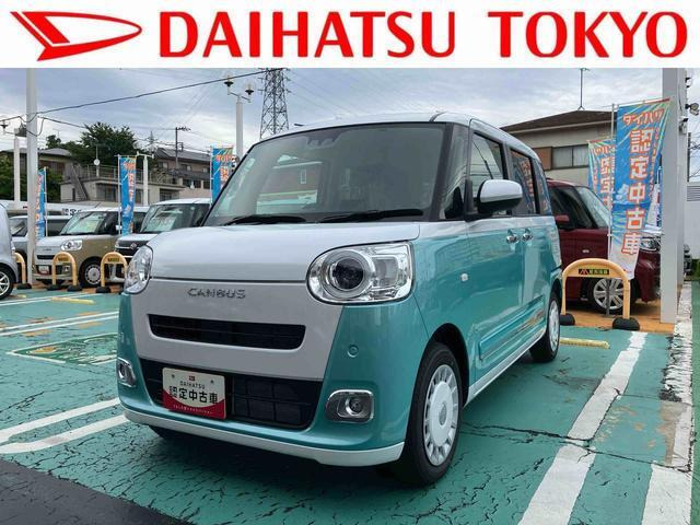 ムーヴキャンバス  ストライプス G