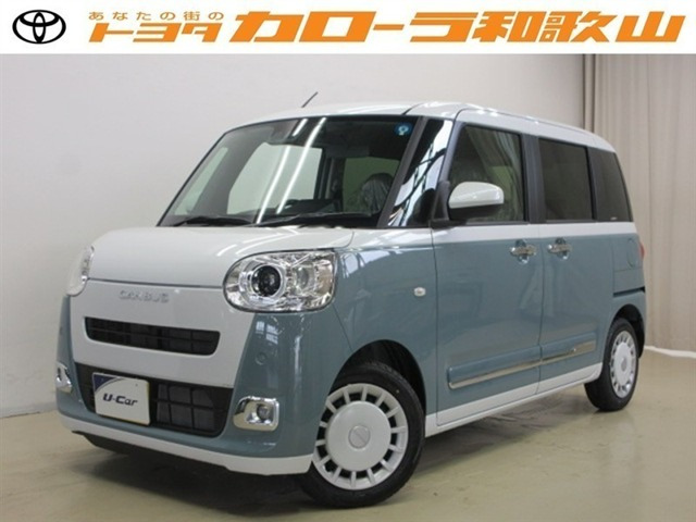 ムーヴキャンバス  ストライプス G