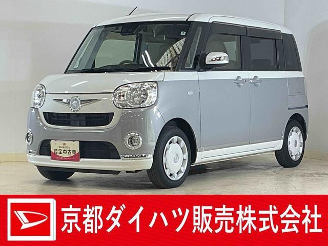 ムーヴキャンバス X リミテッド メイクアップ SAIII