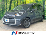 両側電動ドア 純正10型ナビ パノラミックビューモニター