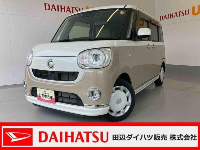 ムーヴキャンバス G メイクアップ リミテッド SAIII 