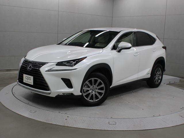 NX 300h Iパッケージ 
