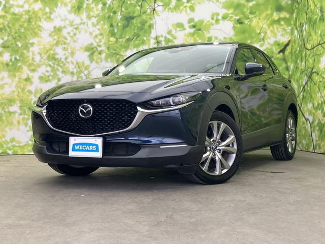 CX-30 2.0 20S プロアクティブ ツーリングセレクション