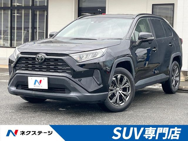 RAV4 2.0 X 