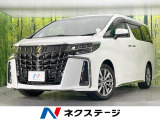 両側電動ドア 後席モニター 純正9型ディスプレイ バックカメラ