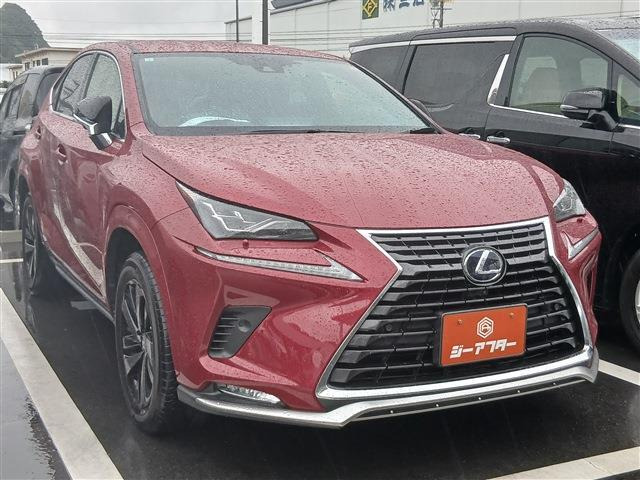 NX 300h スパイス&シック 後期型 禁煙車 純正10.3型ナビ
