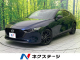 純正10型ナビ 全周囲カメラ 衝突被害軽減システム レーダークルーズ