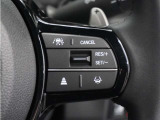 ◆アダプティブクルーズコントロール◆予め設定した車速内でクルマが自動的に加減速。前走車との適切な車間距離を維持しながら追従走行します。【LKAS】車線維持支援システムでステアリング操作を支援。