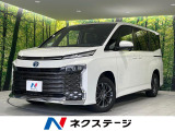 純正10型ナビ 両側電動ドア バックカメラ 寒冷地仕様 衝突被害軽減