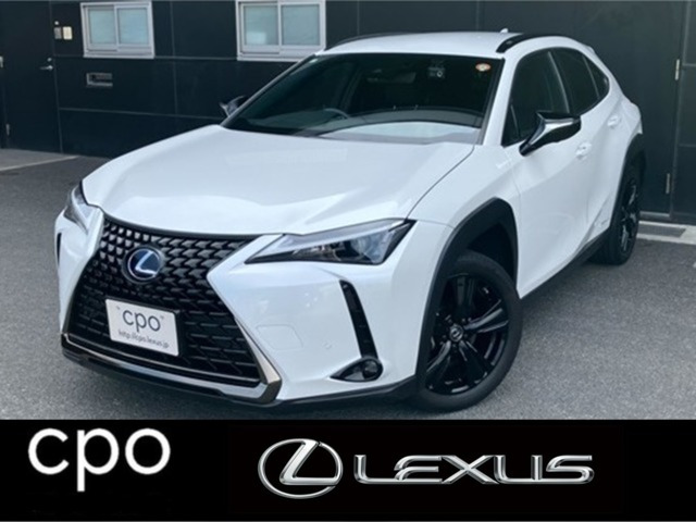 UX 250h