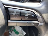 レーダークルーズコントロールを装備。アクセルやブレーキを操作しなくても、自動で先行車との車間距離を保ち追従走行できます。長距離や高速道路を運転する際に、ドライバーへの負担を軽減します。