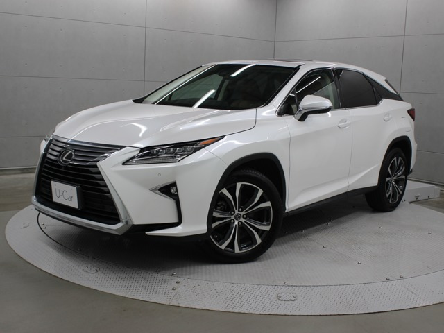 RX 300 バージョンL 