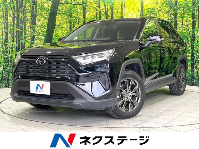 RAV4 2.0 X