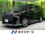 モデリスタフルエアロ 両側電動ドア 10インチナビ バックカメラ ETC