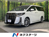 モデリスタエアロ 純正10インチナビ 13インチ後席モニター 衝突軽減