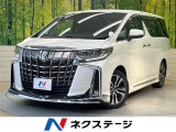 モデリスタ 両側電動 後席モニター バックカメラ 100V電源 衝突軽減