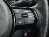 ◆アダプティブクルーズコントロール◆予め設定した車速内でクルマが自動的に加減速。前走車との適切な車間距離を維持しながら追従走行します。【LKAS】車線維持支援システムでステアリング操作を支援。