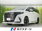 ガラスルーフ モデリスタ 両側電動ドア 後席モニター 純正14型ナビ