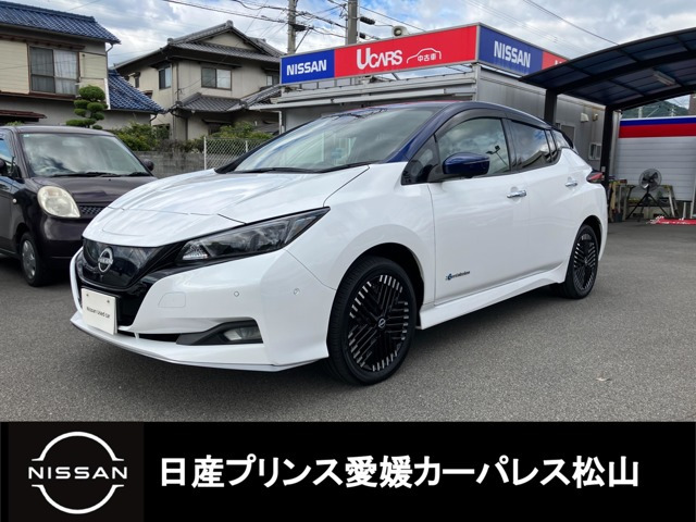リーフ e+ G