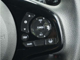 ◆アダプティブクルーズコントロール◆予め設定した車速内でクルマが自動的に加減速。前走車との適切な車間距離を維持しながら追従走行します。【LKAS】車線維持支援システムでステアリング操作を支援。
