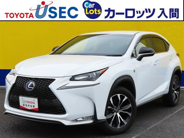 NX 300h Fスポーツ