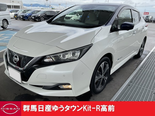 リーフ X 