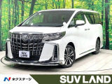 禁煙 モデリスタエアロ サンルーフ 11型BIGX バックカメラ ETC