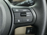 ◆アダプティブクルーズコントロール◆予め設定した車速内でクルマが自動的に加減速。前走車との適切な車間距離を維持しながら追従走行します。【LKAS】車線維持支援システムでステアリング操作を支援。