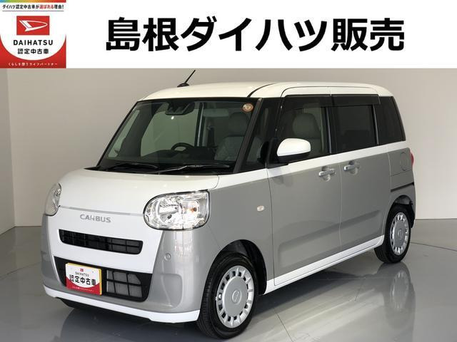 ムーヴキャンバス  ストライプス X