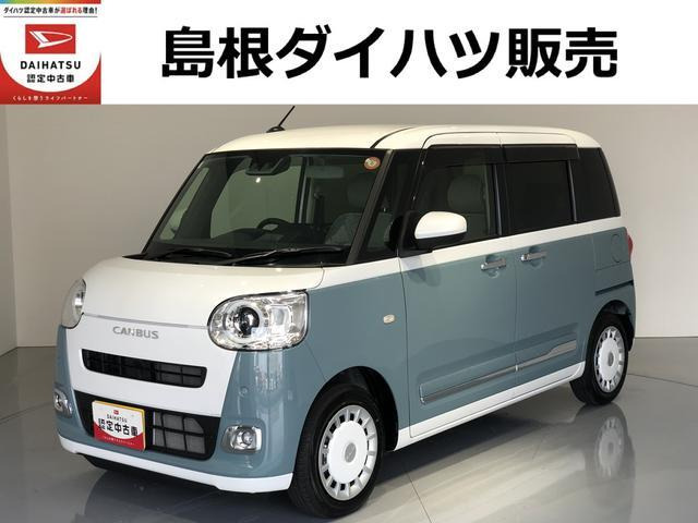 ムーヴキャンバス  ストライプス G