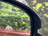 【ブラインドスポットインフォメーション】走行中、ドアミラーの死角になりやすい箇所に後続車が接近するとサイドミラー付近に警告を表示、ドライバーに注意喚起をしてくれます。