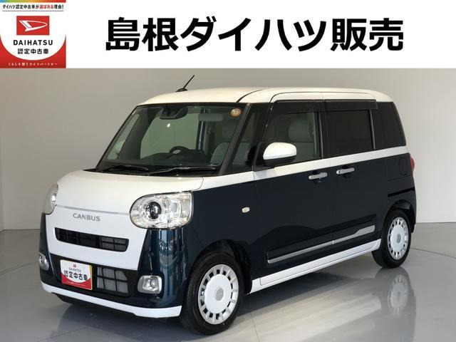 ムーヴキャンバス  ストライプス G