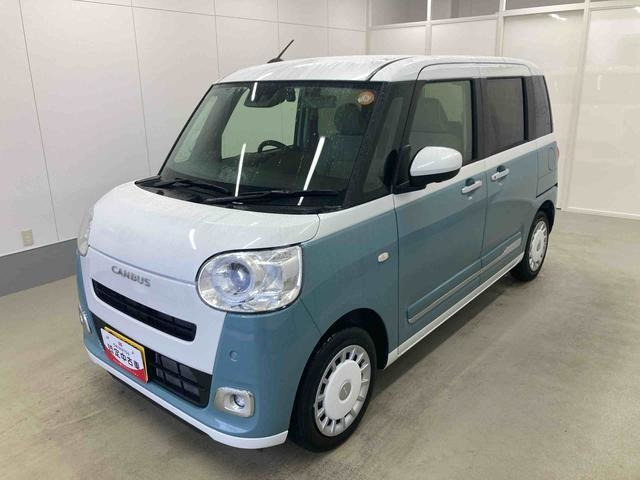ムーヴキャンバス  ストライプス G