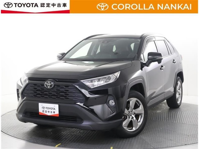RAV4 2.0 X 