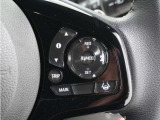 ◆アダプティブクルーズコントロール◆予め設定した車速内でクルマが自動的に加減速。前走車との適切な車間距離を維持しながら追従走行します。【LKAS】車線維持支援システムでステアリング操作を支援。