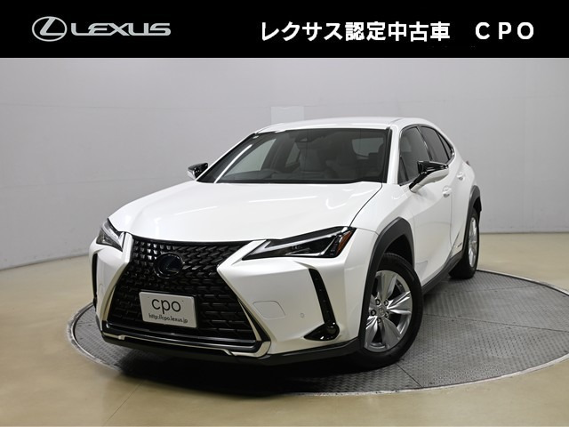 UX 250h バージョンC 