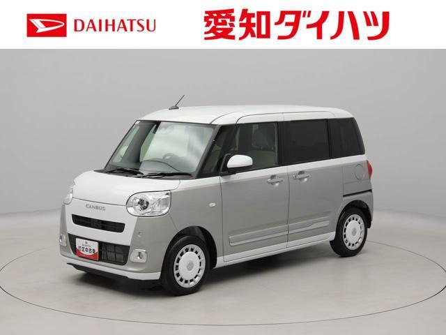 ムーヴキャンバス  ストライプス G