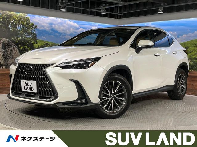 NX 250 バージョンL