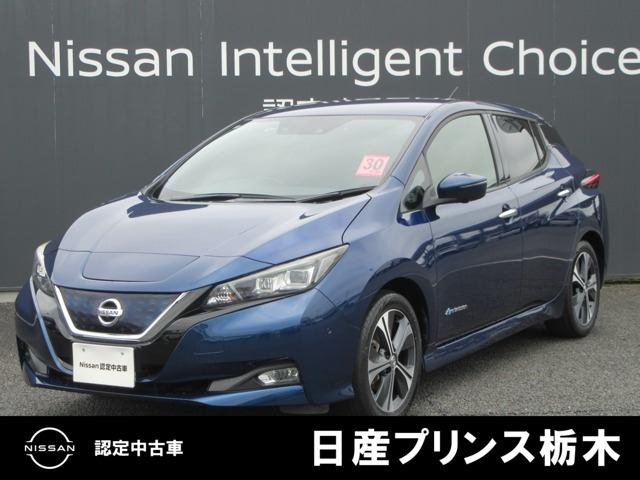 リーフ G