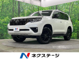 4WD 7人乗り バックカメラ レーダークルーズ レザーシート