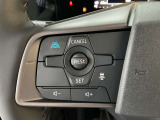 プロパイロットは、高速道路や自動車専用道路で、車線維持や追従走行を自動で行う運転支援システムです。ドライバーの負担を軽減し、安全で快適なドライブをサポートします。