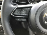 左側のスイッチ類は音量調整などオーディオ系の操作にご使用できますよ♪