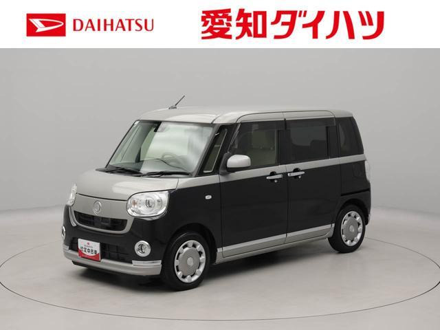 ムーヴキャンバス G メイクアップ SAII 