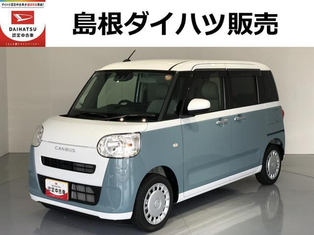 ムーヴキャンバス  ストライプス X