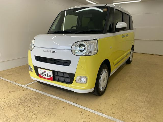 ムーヴキャンバス  ストライプス G